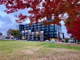 featured image of 22 Dawson St