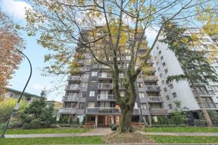 Haro Apartments - Photo 1 of 1