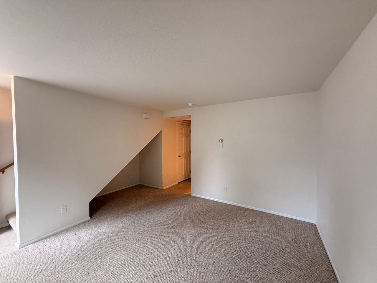 will01 - Photo 2 of 10