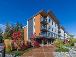 featured image of 261 Dogwood St