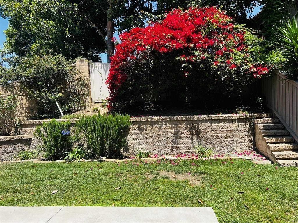6033 Paseo Hermosa - Photo 5 of 31