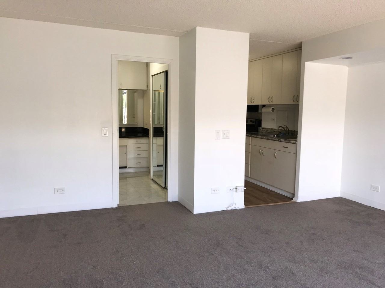 710 Lunalilo St - Photo 4 of 9