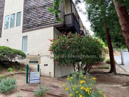 featured image of 871 Alice St