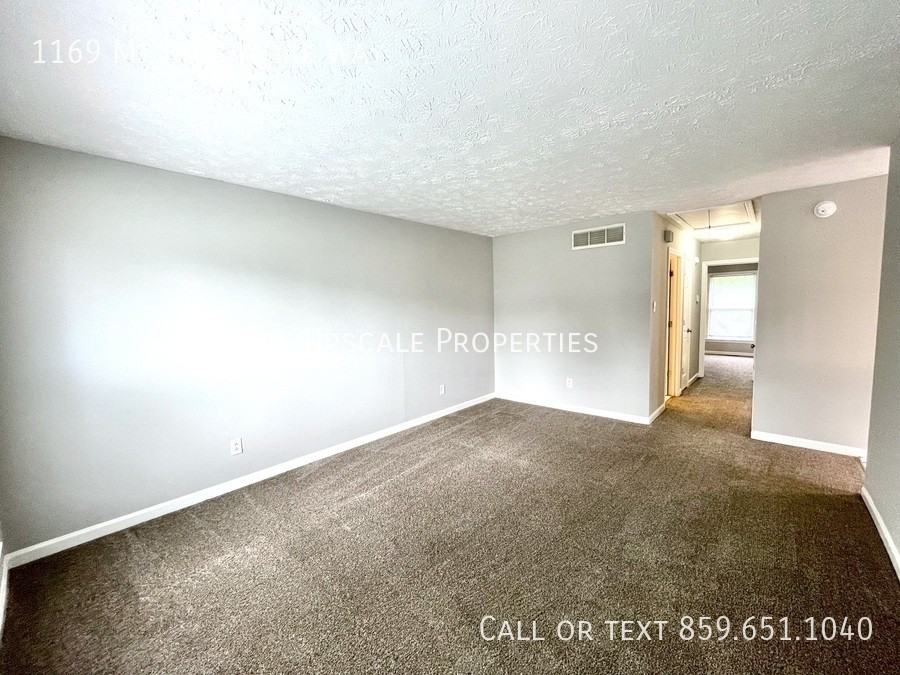 1169 Mount Rushmore Way - Photo 2 of 11