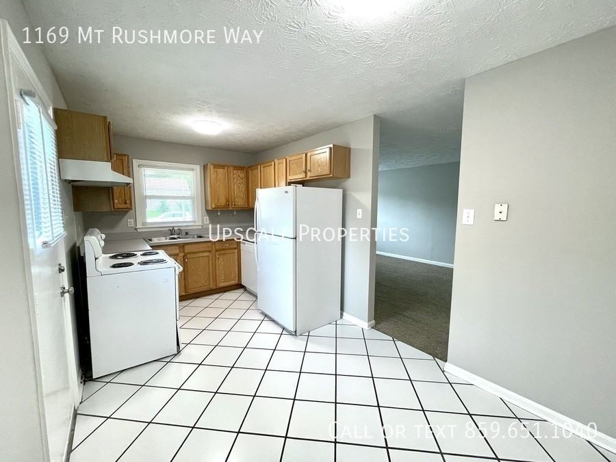 1169 Mount Rushmore Way - Photo 3 of 11