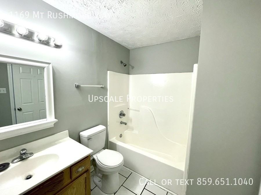1169 Mount Rushmore Way - Photo 4 of 11