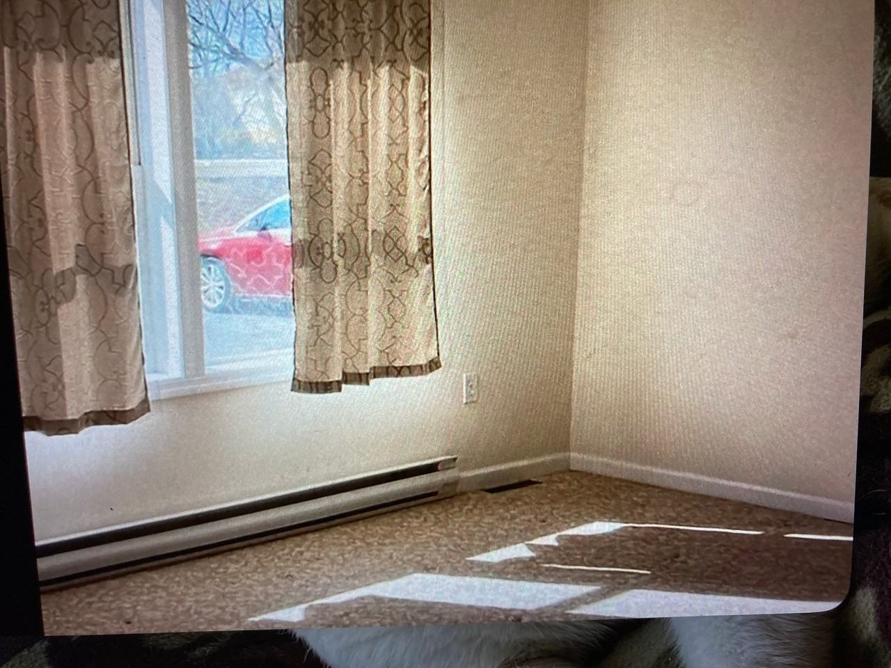 195 West Hamilton Ave. Myerstown Pa - Photo 4 of 9