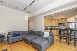 456 W Armitage Ave - Photo 1 of 1