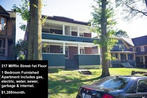 featured image of 217 Mifflin St #1st
