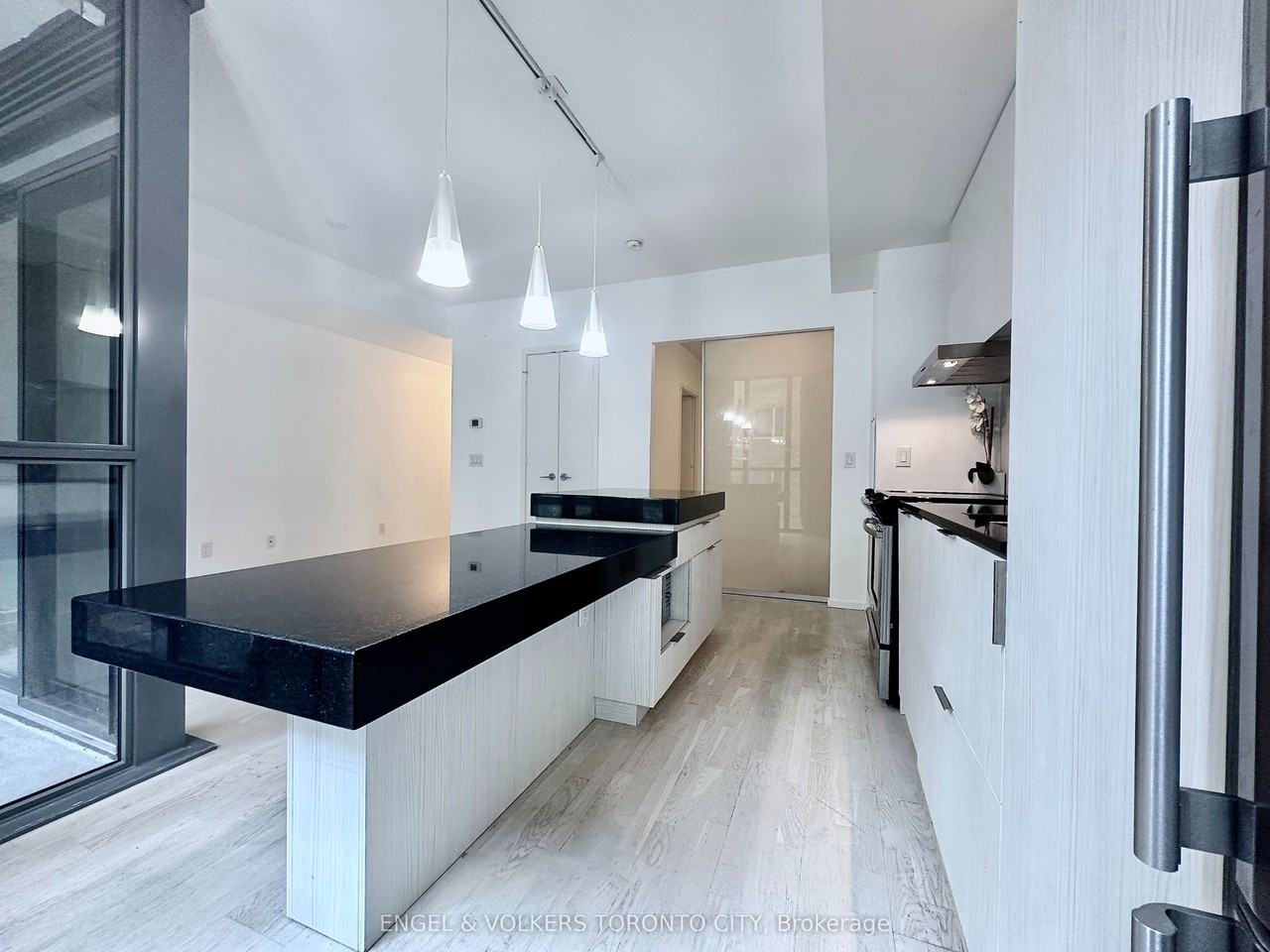 101 X2 Condos - Photo 4 of 23