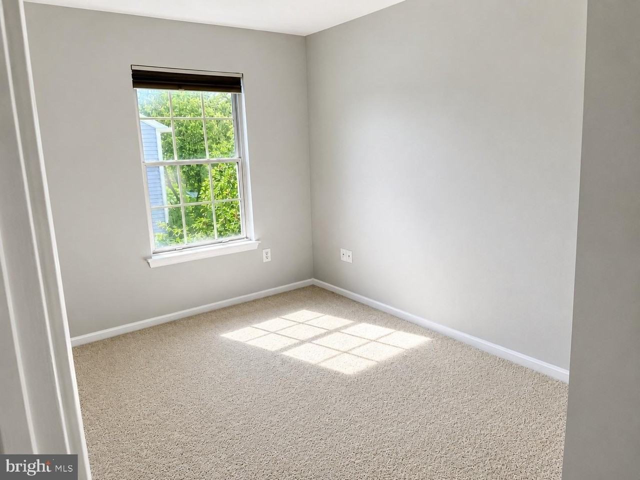 20208 Shipley Ter - Photo 7 of 13