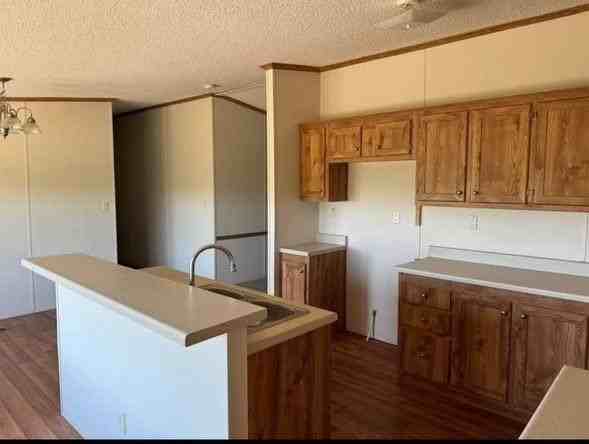 545 Apricot Ave - Photo 5 of 13