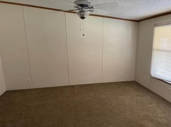 545 Apricot Ave - Photo 7 of 13