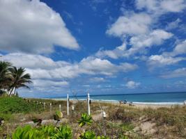 featured image of 1481 S Ocean Blvd #339D