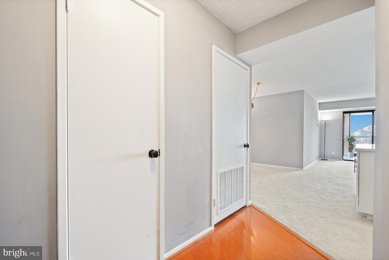 5901 Mount Eagle Dr #1517 - Photo 2 of 50