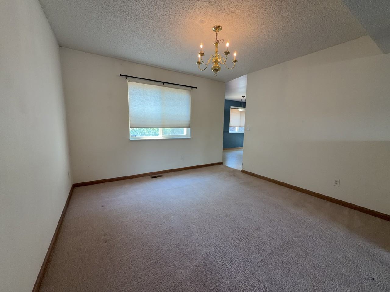 1155 Costigan Dr - Photo 4 of 14