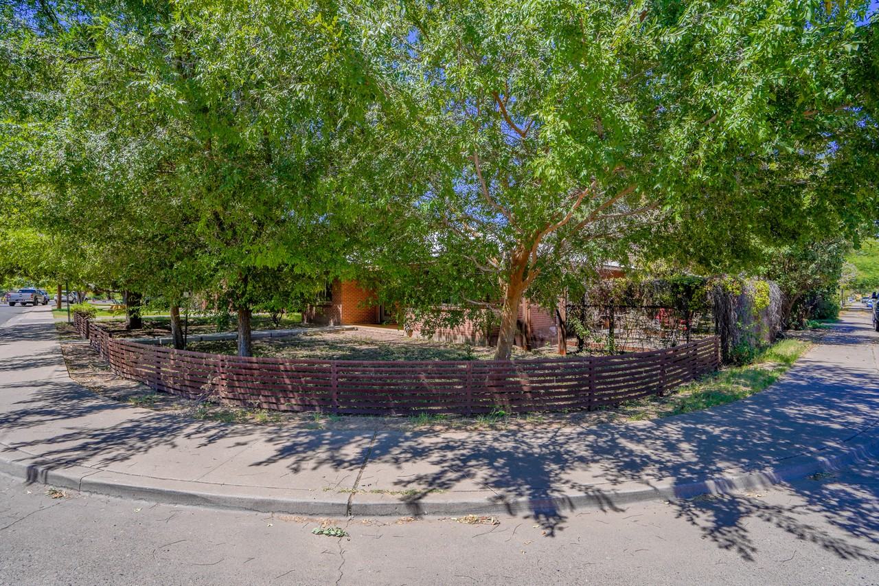 351 E Encanto Dr - Photo 4 of 50