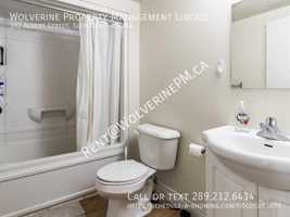featured image of 392 Albert St #4