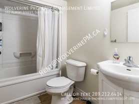 392 Albert St #4 - Photo 1 of 1