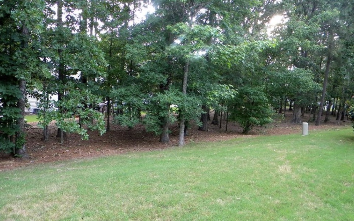 204 Bell Tower Way - Photo 3 of 15