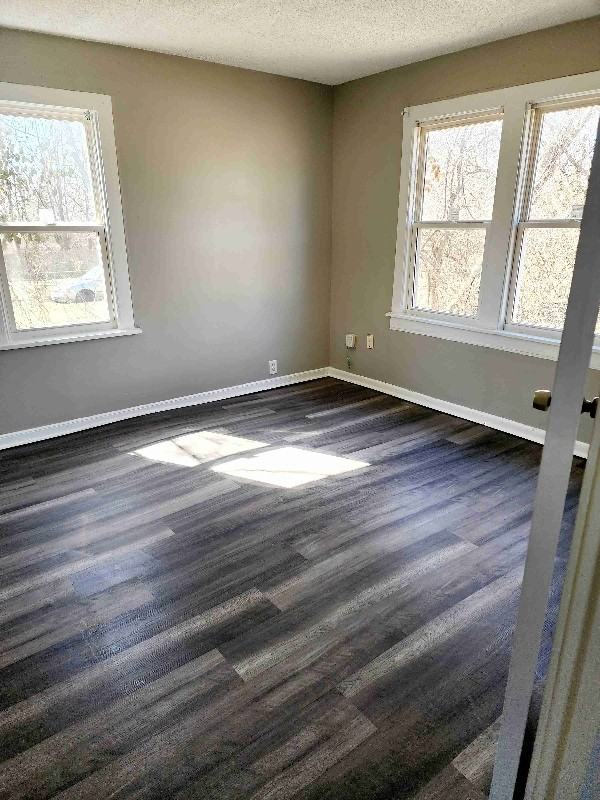 8004 Lydia Ave - Photo 5 of 12