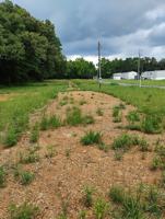 featured image of 3920 County Road #10