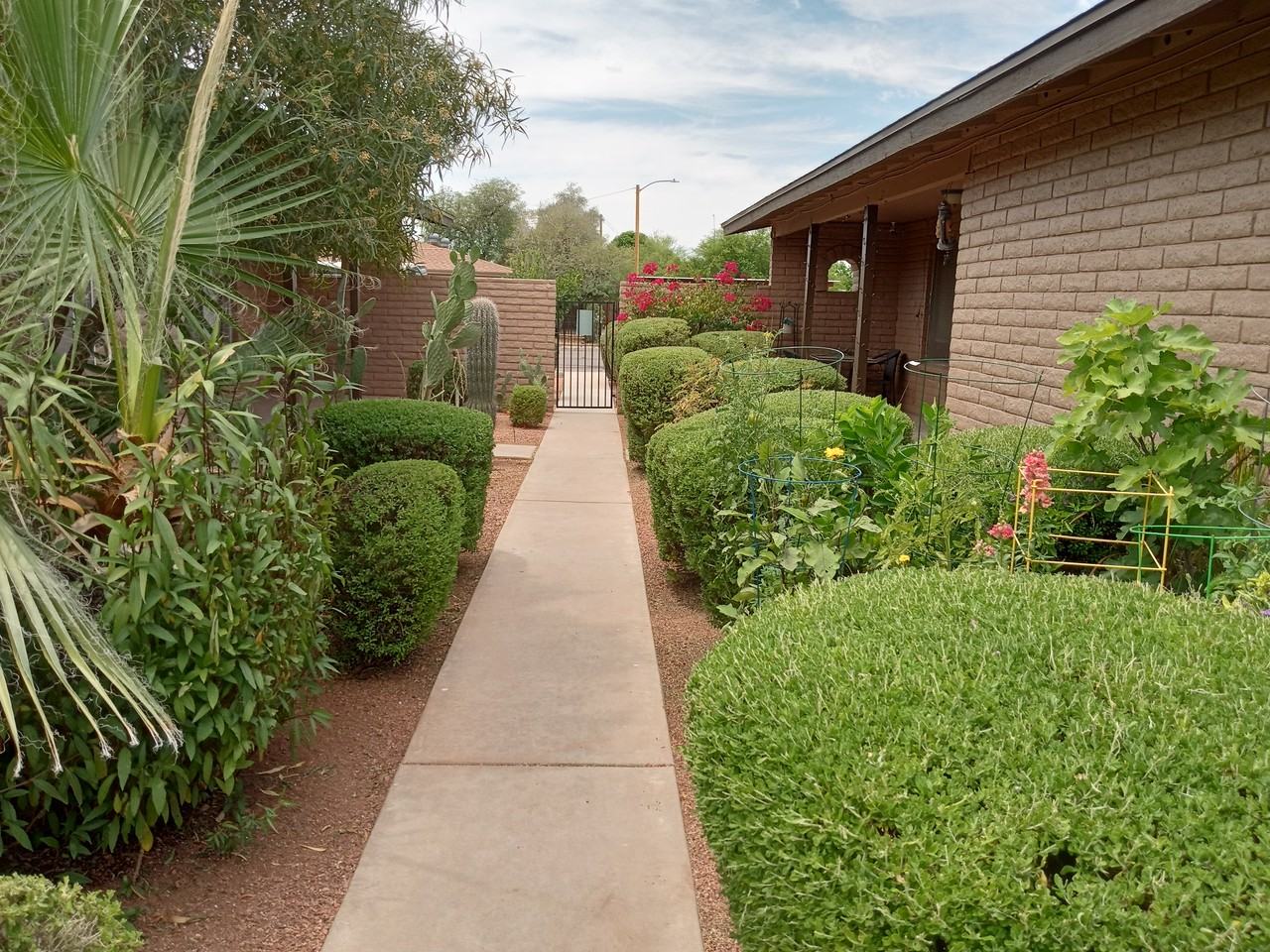 18041 North 40th Place - Photo 2 of 23
