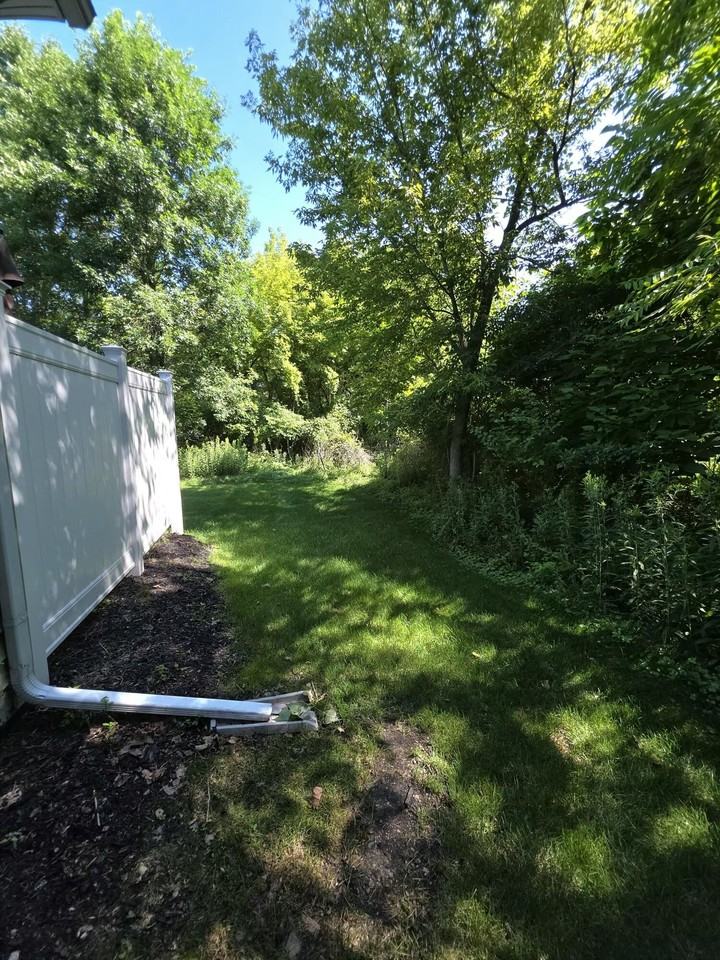 418 W Ellen St - Photo 4 of 43