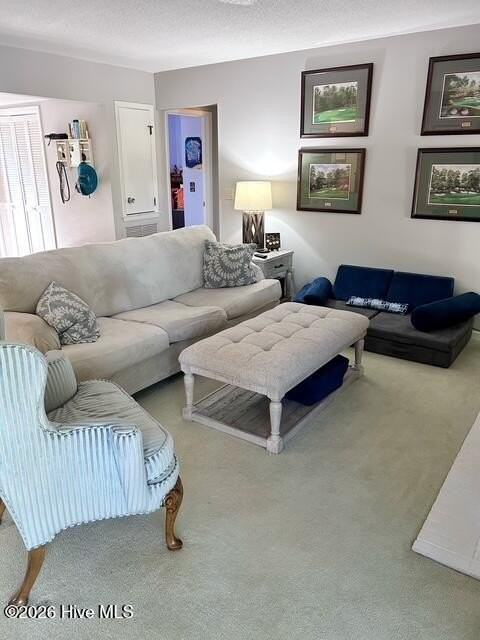 250 Sugar Gum Ln #252 - Photo 2 of 20