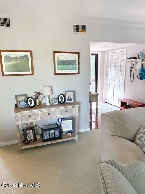 250 Sugar Gum Ln #252 - Photo 5 of 20