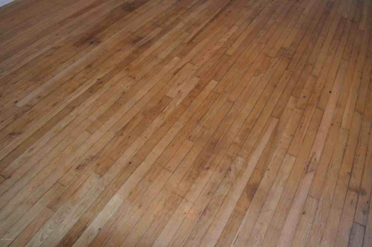 2834 Downing St #2 - Photo 5 of 19