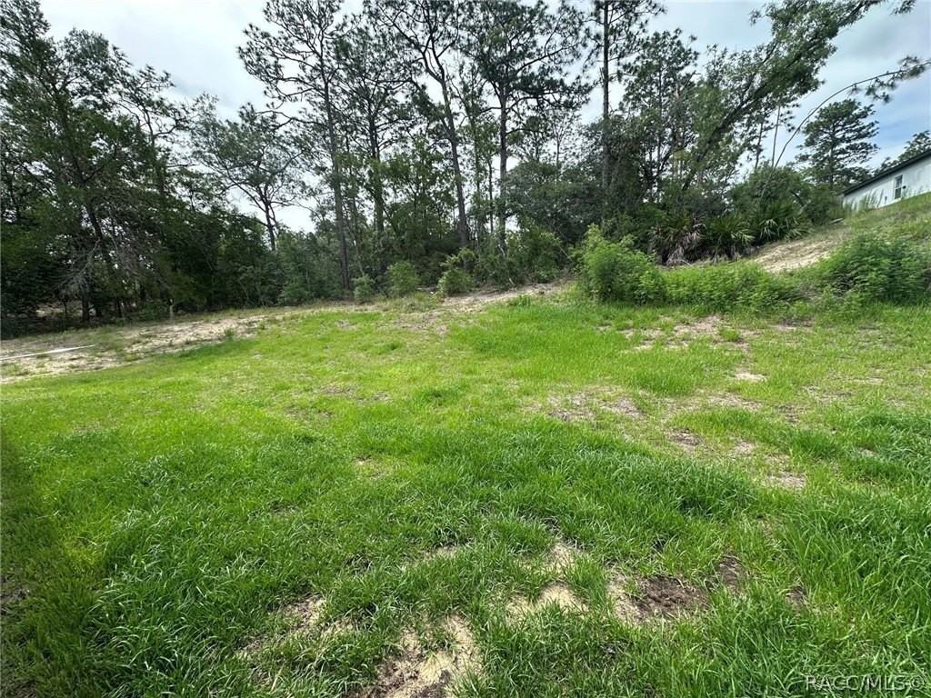 2810 W Huron Ln - Photo 6 of 21