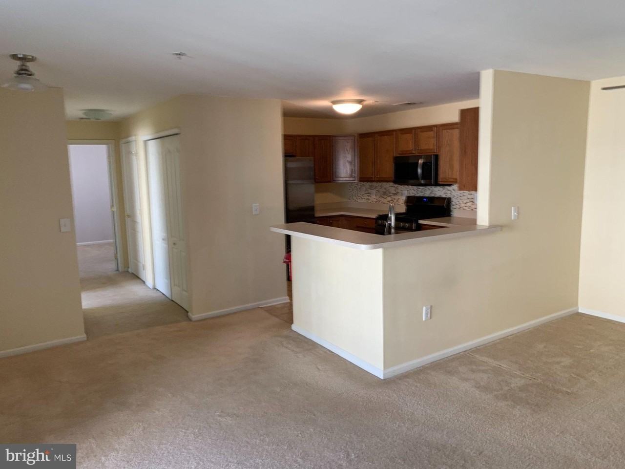110 Lionheart Ln - Photo 4 of 20