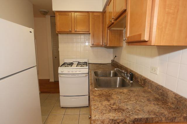 540 W Roscoe St #476 - Photo 3 of 18