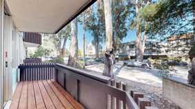55 El Camino Real JC01 - 107 - Photo 1 of 1