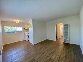 S. Magnolia-728 - Photo 1 of 1