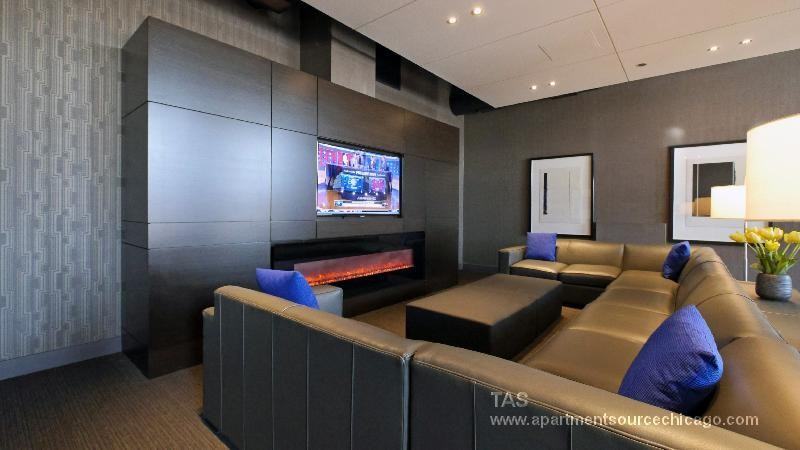 1212 S Michigan Ave #1507 - Photo 7 of 32