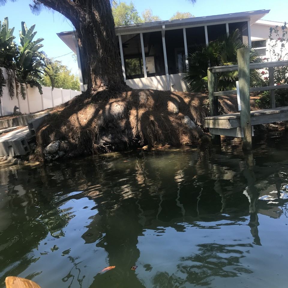 227 Lychee Rd #NA - Photo 4 of 7