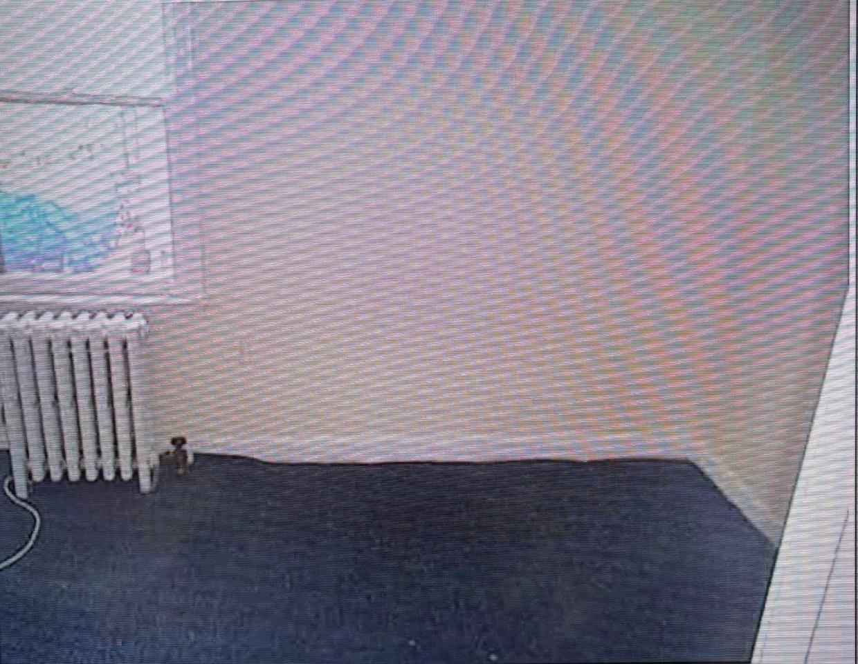 167 Walnut St #1 - Photo 6 of 10