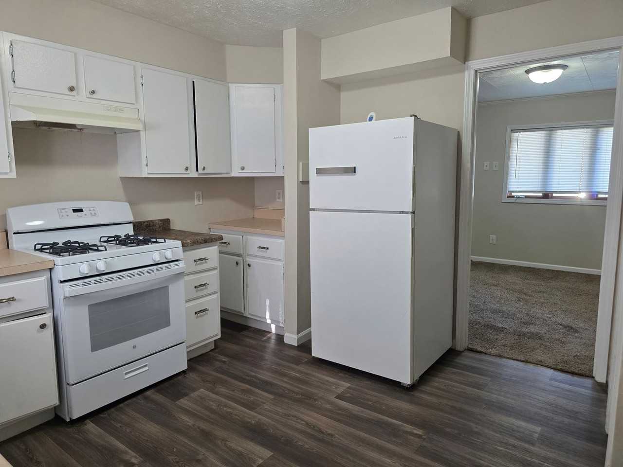 730 N Elmer St - Photo 5 of 13