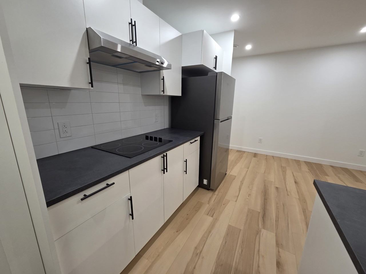 439 Aster Drive BSMT Suite - Photo 5 of 8