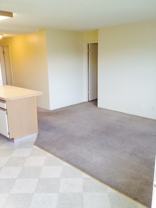 4131 11th Ave Ne #504 - Photo 1 of 1