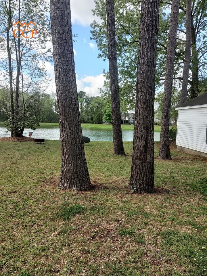 8977 N Red Maple Cir #1 - Photo 3 of 18