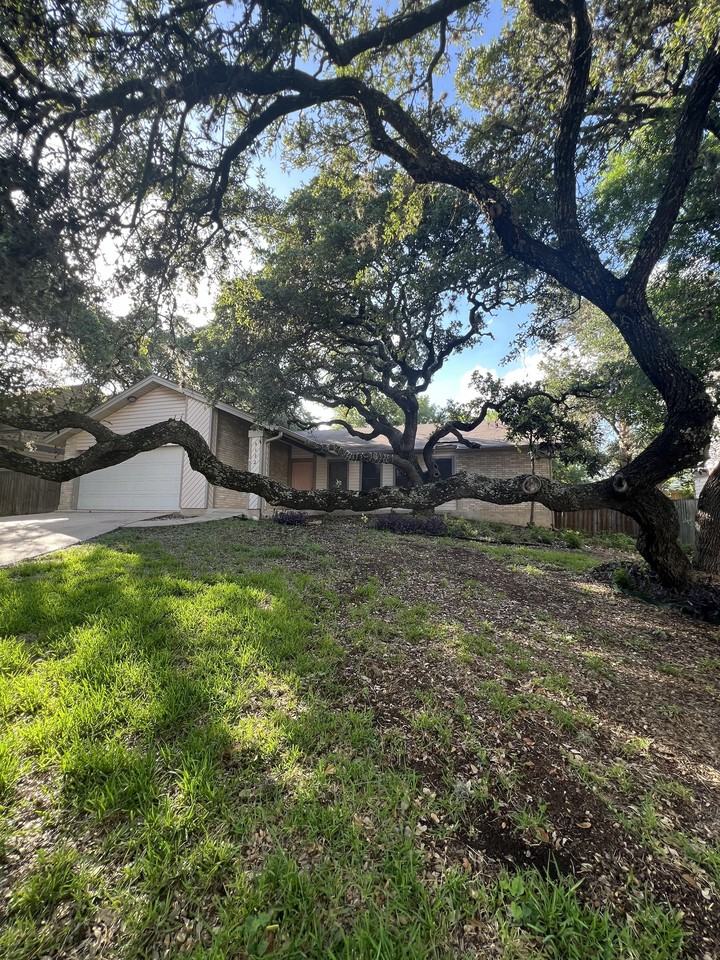 9123 Alpine Trail St #1 - Photo 4 of 50