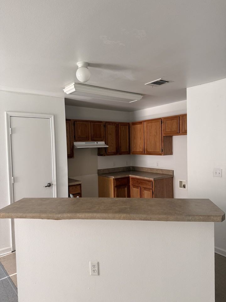 1901 Marshall Frank Dr #1 - Photo 5 of 8