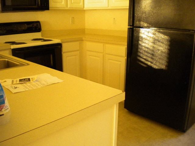 1041 Stoney Falls Blvd #1 - Photo 3 of 10