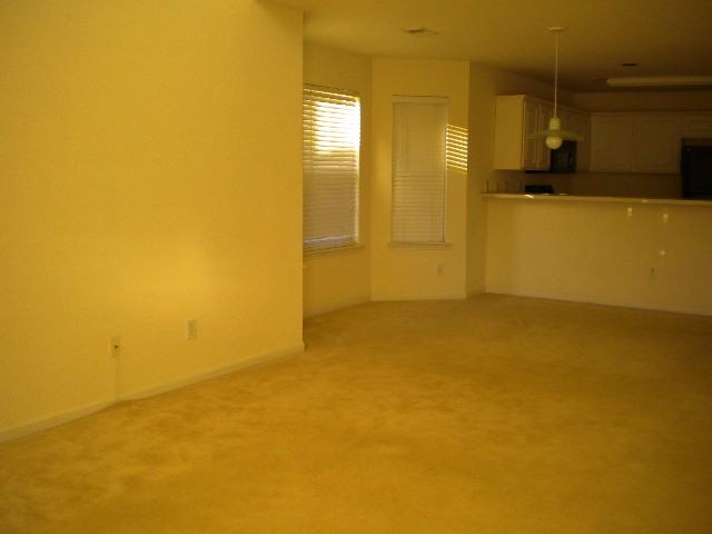 1041 Stoney Falls Blvd #1 - Photo 4 of 10