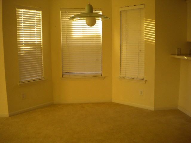 1041 Stoney Falls Blvd #1 - Photo 5 of 10