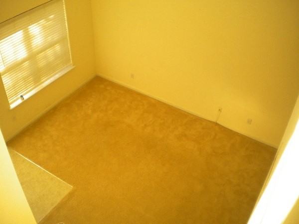 1041 Stoney Falls Blvd #1 - Photo 7 of 10