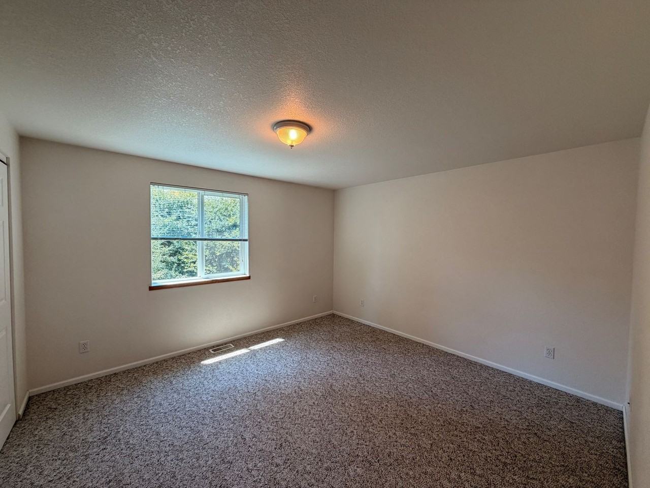 will01 - Photo 6 of 10
